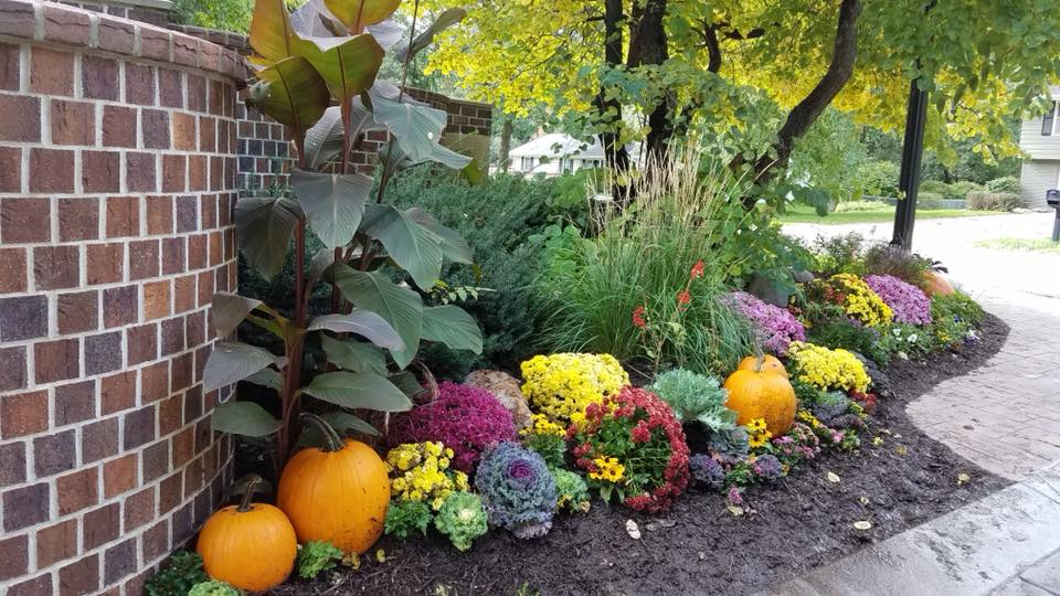 Fall Planters