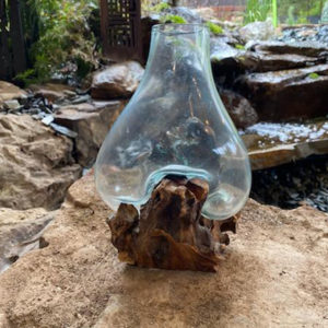 10" Vase on Driftwood
