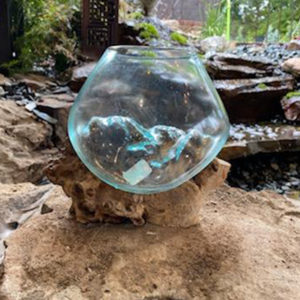 Large Bowl on Driftwood