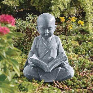 Baby Buddha Studying