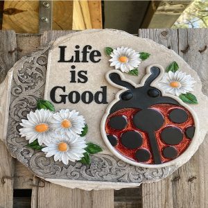 Life is good - Ladybug- Stepping Stone