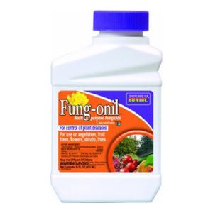 Bonide Fung-onil Concentrate 16oz
