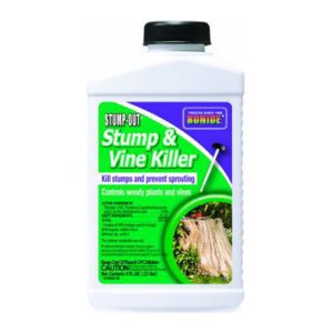 Bonide Stump&Vine Killer 8oz