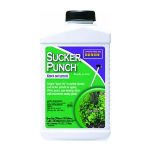 Bonide Suckerpunch 8oz