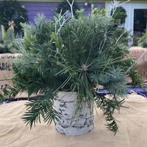 6" Surreal Birch Planter