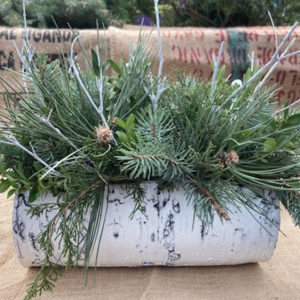 6" Surreal Birch Planter Vertical